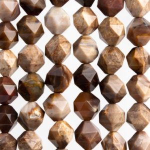 Shop Petrified Wood Beads! Genuine Natural American Petrified Wood Jasper Gemstone Beads 9-10MM Brown Star Cut Faceted AAA Quality Loose Beads (116947) | Natural genuine faceted Petrified Wood beads for beading and jewelry making.  #jewelry #beads #beadedjewelry #diyjewelry #jewelrymaking #beadstore #beading #affiliate #ad