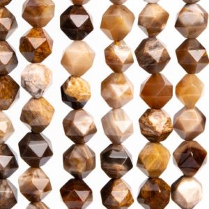 Shop Petrified Wood Beads! Genuine Natural Petrified Wood Jasper Gemstone Beads 7-8MM Brown Star Cut Faceted AAA Quality Loose Beads (102919) | Natural genuine faceted Petrified Wood beads for beading and jewelry making.  #jewelry #beads #beadedjewelry #diyjewelry #jewelrymaking #beadstore #beading #affiliate #ad