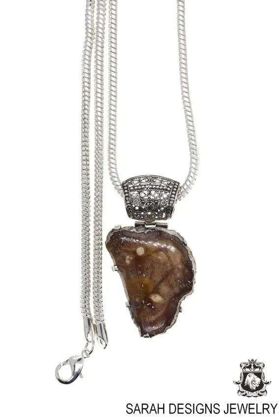 Utah Mined Petrified Wood Fossil 925 Sterling Silver Pendant & Free 3mm Italian 925 Sterling Silver Chain P606