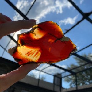 Indonesian Amber slab | Natural genuine stones & crystals in various shapes & sizes. Buy raw cut, tumbled, or polished gemstones for making jewelry or crystal healing energy vibration raising reiki stones. #crystals #gemstones #crystalhealing #crystalsandgemstones #energyhealing #affiliate #ad