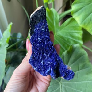 Shop Azurite Stones & Crystals! Natural Azurite with malachite psuedomorph specimen, cabinet | Natural genuine stones & crystals in various shapes & sizes. Buy raw cut, tumbled, or polished gemstones for making jewelry or crystal healing energy vibration raising reiki stones. #crystals #gemstones #crystalhealing #crystalsandgemstones #energyhealing #affiliate #ad