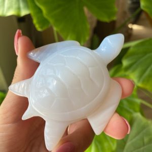 Shop Blue Chalcedony Shapes! Blue chalcedony sea turtle figurine | Natural genuine stones & crystals in various shapes & sizes. Buy raw cut, tumbled, or polished gemstones for making jewelry or crystal healing energy vibration raising reiki stones. #crystals #gemstones #crystalhealing #crystalsandgemstones #energyhealing #affiliate #ad