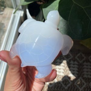 Shop Blue Chalcedony Stones & Crystals! Blue chalcedony sea turtle figurine | Natural genuine stones & crystals in various shapes & sizes. Buy raw cut, tumbled, or polished gemstones for making jewelry or crystal healing energy vibration raising reiki stones. #crystals #gemstones #crystalhealing #crystalsandgemstones #energyhealing #affiliate #ad