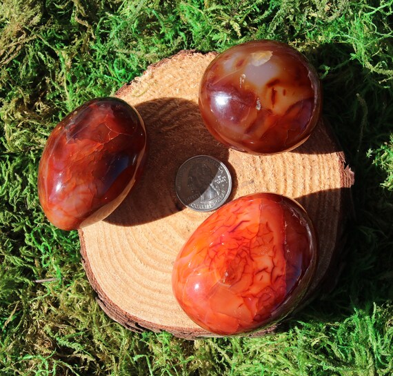 Carnelian Palms #a-j