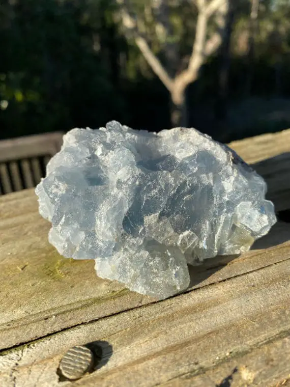 Celestite Specimen - Angelic Realms - Spirit Guide Communication - Reiki Charged Crystals - High Frequency - Divine Energy