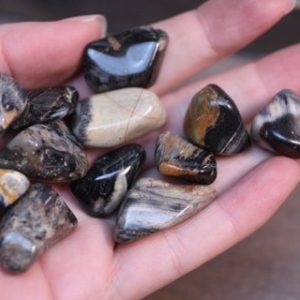 Shop Tumbled Jasper Crystals & Pocket Stones! Silver Leaf Jasper Small Tumbled Stone T15 | Natural genuine stones & crystals in various shapes & sizes. Buy raw cut, tumbled, or polished gemstones for making jewelry or crystal healing energy vibration raising reiki stones. #crystals #gemstones #crystalhealing #crystalsandgemstones #energyhealing #affiliate #ad