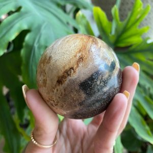 Petrified wood sphere , root chakra, security, grounding, wisdom | Natural genuine stones & crystals in various shapes & sizes. Buy raw cut, tumbled, or polished gemstones for making jewelry or crystal healing energy vibration raising reiki stones. #crystals #gemstones #crystalhealing #crystalsandgemstones #energyhealing #affiliate #ad