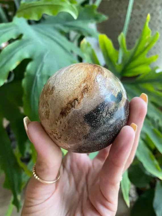 Petrified Wood Sphere , Root Chakra, Security, Grounding, Wisdom