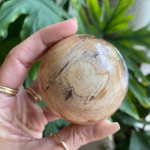Shop Petrified Wood Shapes! Petrified wood sphere , root chakra, security, grounding, wisdom | Natural genuine stones & crystals in various shapes & sizes. Buy raw cut, tumbled, or polished gemstones for making jewelry or crystal healing energy vibration raising reiki stones. #crystals #gemstones #crystalhealing #crystalsandgemstones #energyhealing #affiliate #ad