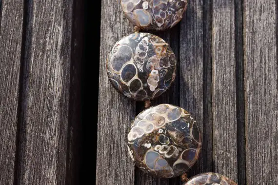 Turritella Agate 21-24mm Round Disc Beads (etb00335)
