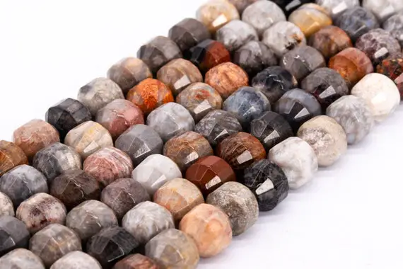 Genuine Natural Multicolor Coral Fossil Jasper Loose Beads Faceted Bicone Barrel Drum Shape 8x7mm 10x9mm