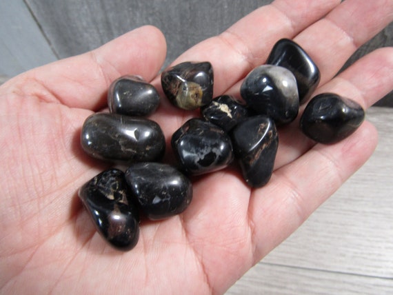 Black Onyx 0.75 Inch + Tumbled Stone T500