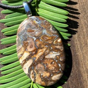 Shop Petrified Wood Necklaces! Unisex Petrified Wood, Stainless Steel Healing Stone Necklace with Positive healing Energy! | Natural genuine Petrified Wood necklaces. Buy crystal jewelry, handmade handcrafted artisan jewelry for women.  Unique handmade gift ideas. #jewelry #beadednecklaces #beadedjewelry #gift #shopping #handmadejewelry #fashion #style #product #necklaces #affiliate #ad