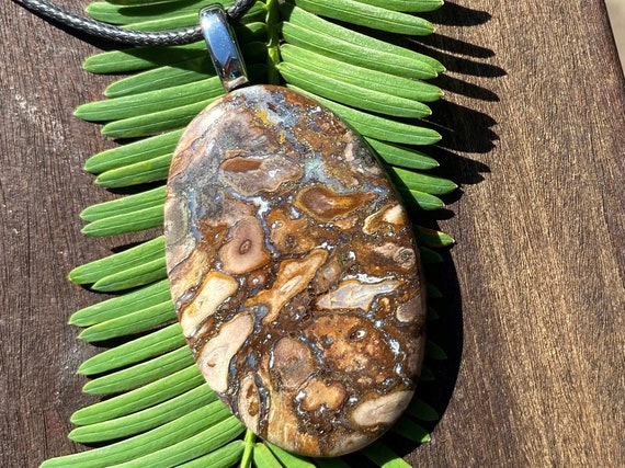 Unisex Petrified Wood, Stainless Steel Healing Stone Necklace With Positive Healing Energy!