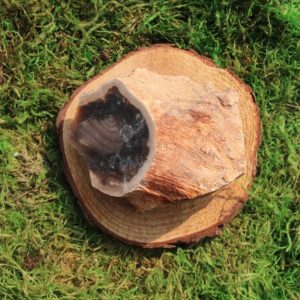 Shop Raw & Rough Petrified Wood Stones! Petrified Wood Raw Piece #A | Natural genuine stones & crystals in various shapes & sizes. Buy raw cut, tumbled, or polished gemstones for making jewelry or crystal healing energy vibration raising reiki stones. #crystals #gemstones #crystalhealing #crystalsandgemstones #energyhealing #affiliate #ad