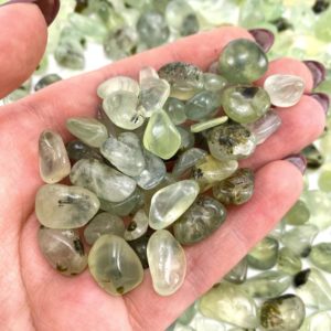 Shop Prehnite Stones & Crystals! 20g of Prehnite, mini tumbled stones, tumbled crystal, tumbled prehnite, prehnite chips | Natural genuine stones & crystals in various shapes & sizes. Buy raw cut, tumbled, or polished gemstones for making jewelry or crystal healing energy vibration raising reiki stones. #crystals #gemstones #crystalhealing #crystalsandgemstones #energyhealing #affiliate #ad