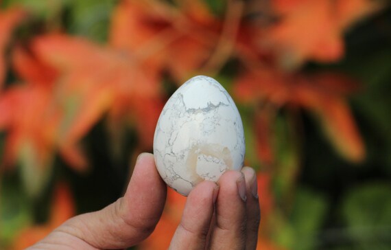 Huge 55mm Natural White Howlite Stone Healing Metaphysical Meditation Rekki Power Yoni Egg