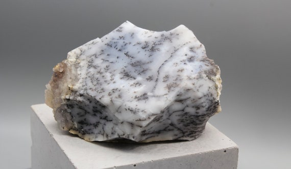 White Opal Crystal Tree Grain Opal Piece Specimen Opal Crystal Healing White Opal Stone Zodiac Birthday Gift May Taurus Gemini