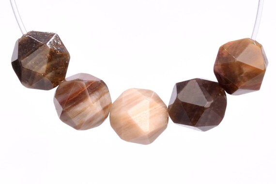 Genuine Natural America Petrified Wood Jasper Gemstone Beads 5-6mm Brown Star Cut Faceted Aaa Quality Loose Beads (102905)
