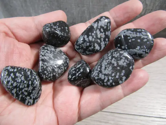 Snowflake Obsidian 1 Inch + Tumbled Stone T110