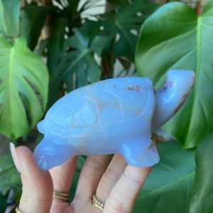 Shop Blue Chalcedony Stones & Crystals! Blue chalcedony turtle figurine | Natural genuine stones & crystals in various shapes & sizes. Buy raw cut, tumbled, or polished gemstones for making jewelry or crystal healing energy vibration raising reiki stones. #crystals #gemstones #crystalhealing #crystalsandgemstones #energyhealing #affiliate #ad