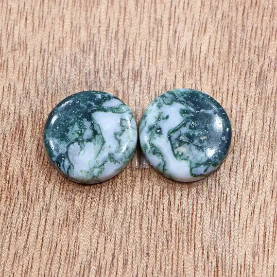 Awesome Pair Of Dendritic Agate For Earrings- 16 Mm Round Cut Pair Of Tree Agate- 22.40 Ct Green- White Tree Agate- Flat Back Cabochon