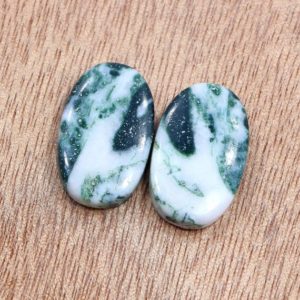 Shop Dendritic Agate Earrings! Natural Tree Agate Pair For Jewelry Making/ 14*23 MM Oval Cut Dendritic Agate/ 29.15 Cts Tree Agate- Stone Of Reliability Pair For Earrings | Natural genuine Dendritic Agate earrings. Buy crystal jewelry, handmade handcrafted artisan jewelry for women.  Unique handmade gift ideas. #jewelry #beadedearrings #beadedjewelry #gift #shopping #handmadejewelry #fashion #style #product #earrings #affiliate #ad