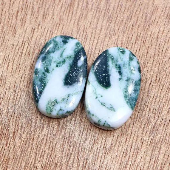 Natural Tree Agate Pair For Jewelry Making/ 14*23 Mm Oval Cut Dendritic Agate/ 29.15 Cts Tree Agate- Stone Of Reliability Pair For Earrings