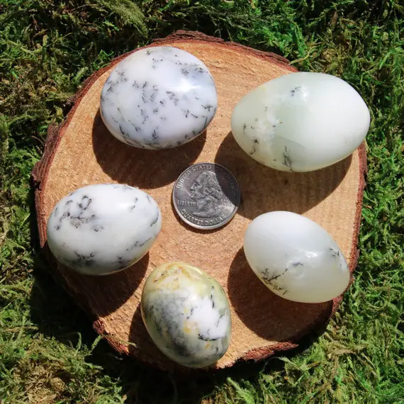 Dendritic Agate Palm Stone #a-j