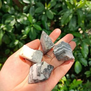 Shop Raw & Rough Jasper Stones! Raw Zebra Jasper Chunk 30-50mm | Natural genuine stones & crystals in various shapes & sizes. Buy raw cut, tumbled, or polished gemstones for making jewelry or crystal healing energy vibration raising reiki stones. #crystals #gemstones #crystalhealing #crystalsandgemstones #energyhealing #affiliate #ad