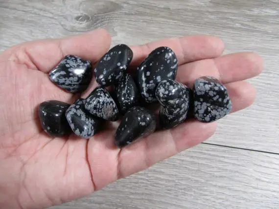 Snowflake Obsidian 0.75 Inch + Tumbled Stone T253