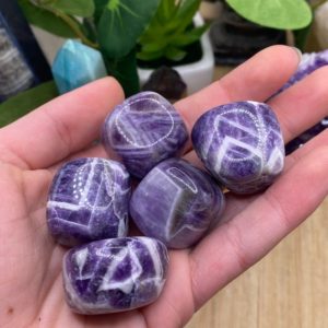 Shop Tumbled Amethyst Crystals & Pocket Stones! Fancy Amethyst Tumbled stones Gift Bag | Natural genuine stones & crystals in various shapes & sizes. Buy raw cut, tumbled, or polished gemstones for making jewelry or crystal healing energy vibration raising reiki stones. #crystals #gemstones #crystalhealing #crystalsandgemstones #energyhealing #affiliate #ad