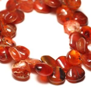 Shop Carnelian Bead Shapes! Fil 25cm 50pc env – Perles de Pierre – Cornaline gouttes dégradées 8-12mm N7 – 8741140022850 | Natural genuine other-shape Carnelian beads for beading and jewelry making.  #jewelry #beads #beadedjewelry #diyjewelry #jewelrymaking #beadstore #beading #affiliate #ad
