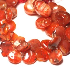 Shop Carnelian Bead Shapes! Fil 22cm 38pc env – Perles de Pierre – Cornaline gouttes dégradées 12-20mm N8 – 8741140022867 | Natural genuine other-shape Carnelian beads for beading and jewelry making.  #jewelry #beads #beadedjewelry #diyjewelry #jewelrymaking #beadstore #beading #affiliate #ad