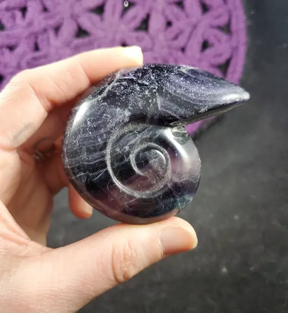 Purple Fluorite Ammonite Shell Carving Crystals Magick Stones Starseed Polished Carved Sacred Spirals Dark Purple