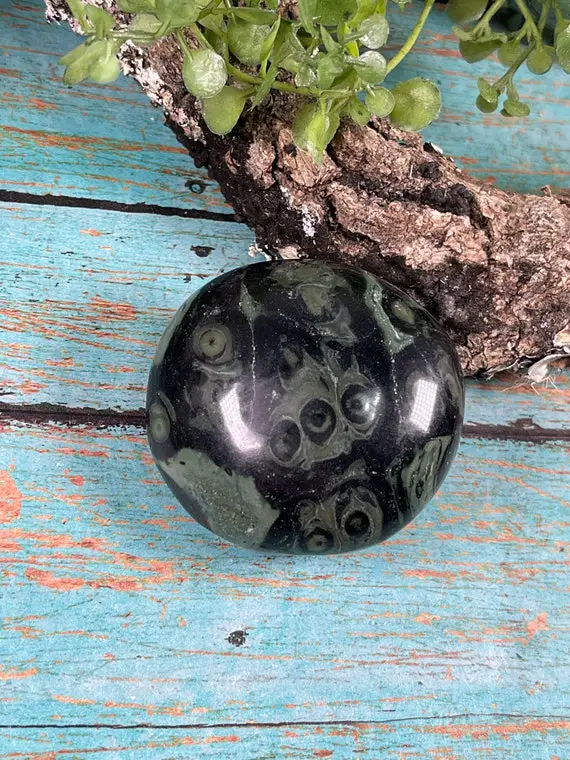 Kambaba Jasper Palmstone - Reiki Charged - Energy Infused Tumbled Stone Meditation Crystal Orbicular Jasper #8