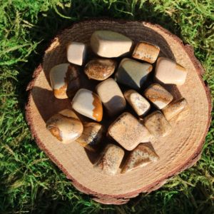 Shop Picture Jasper Stones & Crystals! Brecciated  Agate AKA Brecciated Jasper Polished Tumbled Medium | Natural genuine stones & crystals in various shapes & sizes. Buy raw cut, tumbled, or polished gemstones for making jewelry or crystal healing energy vibration raising reiki stones. #crystals #gemstones #crystalhealing #crystalsandgemstones #energyhealing #affiliate #ad