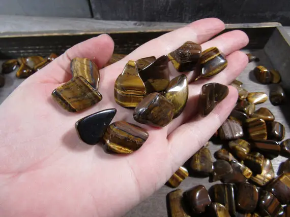 Tiger's Eye 0.5 Inch + Tumbled Stone T479