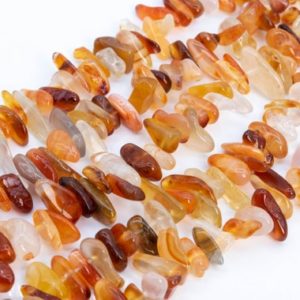 Shop Agate Chip & Nugget Beads! Genuine Natural Orange Red Agate Loose Beads Stick Pebble Chip Shape 12-24×3-5mm | Natural genuine chip Agate beads for beading and jewelry making.  #jewelry #beads #beadedjewelry #diyjewelry #jewelrymaking #beadstore #beading #affiliate #ad