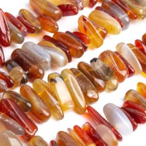 Shop Agate Chip & Nugget Beads! Genuine Natural Orange Red Agate Loose Beads Stick Pebble Chip 12-24×3-5MM | Natural genuine chip Agate beads for beading and jewelry making.  #jewelry #beads #beadedjewelry #diyjewelry #jewelrymaking #beadstore #beading #affiliate #ad