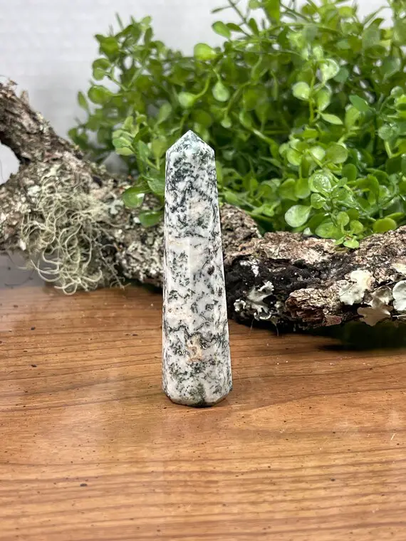 Tree Agate Point - Crystal Generator - Reiki Charged Crystal Tower - Earth Energy - New Beginnings - Connect With Nature Spirits #15