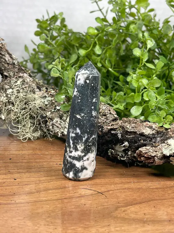 Tree Agate Point - Crystal Generator - Reiki Charged Crystal Tower - Earth Energy - New Beginnings - Connect With Nature Spirits #14