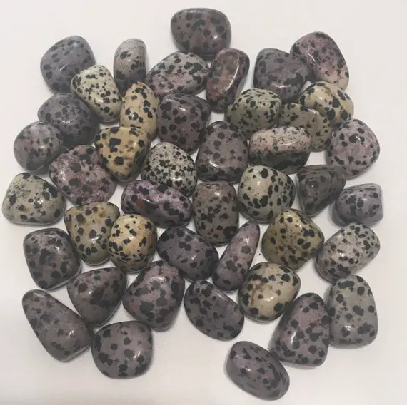 Dalmatian Jasper Small Tumbled Stone, Healing Stone, Healing Crystal,chakra Stone, Spiritual Stone