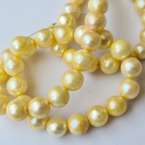 Shop Pearl Rondelle Beads! 7.3mm – 7.7mm Yellow Gold Color Pearls, Sea Cultured Rondelle Pearls, Gold Pearls, 7 Inch Gold Strand Pearl For Jewelry – APH72 | Natural genuine rondelle Pearl beads for beading and jewelry making.  #jewelry #beads #beadedjewelry #diyjewelry #jewelrymaking #beadstore #beading #affiliate #ad