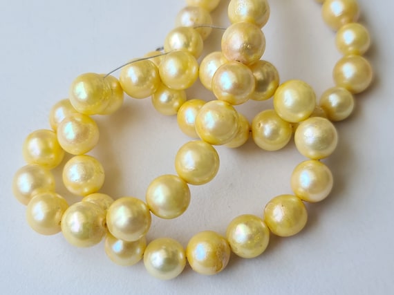 7.3mm - 7.7mm Yellow Gold Color Pearls, Sea Cultured Rondelle Pearls, Gold Pearls, 7 Inch Gold Strand Pearl For Jewelry - Aph72