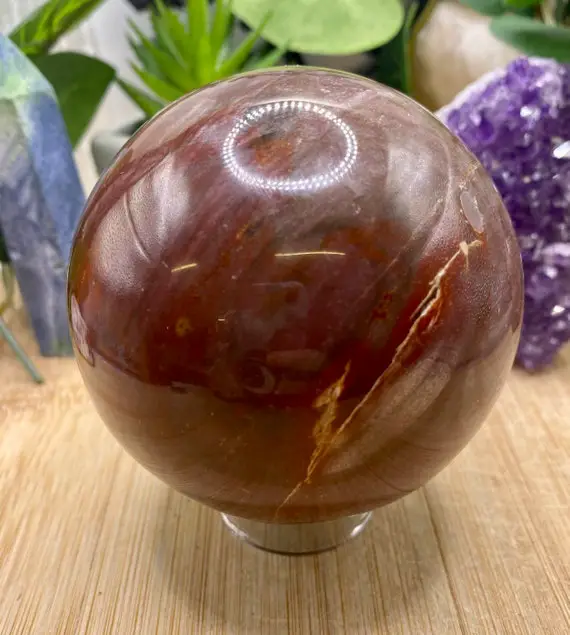 Petrified Wood Sphere Crystal Pets10 Sme