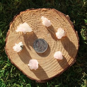 Shop Raw & Rough Rose Quartz Stones! Raw Rose Quartz Crystal Piece Single #A-W Tiny Tiny Crystals | Natural genuine stones & crystals in various shapes & sizes. Buy raw cut, tumbled, or polished gemstones for making jewelry or crystal healing energy vibration raising reiki stones. #crystals #gemstones #crystalhealing #crystalsandgemstones #energyhealing #affiliate #ad