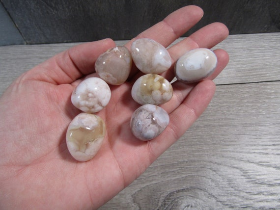 Flower Agate 3/4 Inch + Tumbled Stone T324