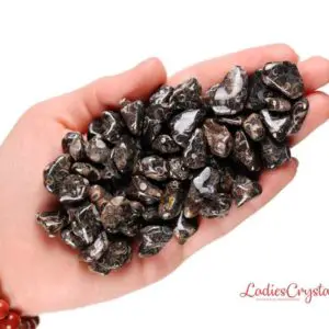 Shop Tumbled Agate Crystals & Pocket Stones! Set Of 3 Turritella Agate Tumbled Stones, Turritella Agate, Tumbled Stones, Agate, Stones, Crystals, Rocks, Gifts, Gemstones, Zodiac Crystal | Natural genuine stones & crystals in various shapes & sizes. Buy raw cut, tumbled, or polished gemstones for making jewelry or crystal healing energy vibration raising reiki stones. #crystals #gemstones #crystalhealing #crystalsandgemstones #energyhealing #affiliate #ad