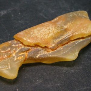 Shop Amber Stones & Crystals! Large Raw Amber Piece From Colombia  – 10 Grams – 2.7" | Natural genuine stones & crystals in various shapes & sizes. Buy raw cut, tumbled, or polished gemstones for making jewelry or crystal healing energy vibration raising reiki stones. #crystals #gemstones #crystalhealing #crystalsandgemstones #energyhealing #affiliate #ad